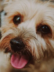 tongue out